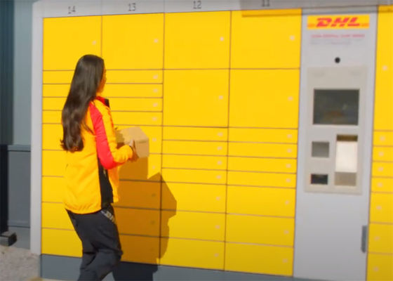 DHL フェデックス UPS 広州 中国 から メキシコ への 国際 快速 貨物 運送 サービス
