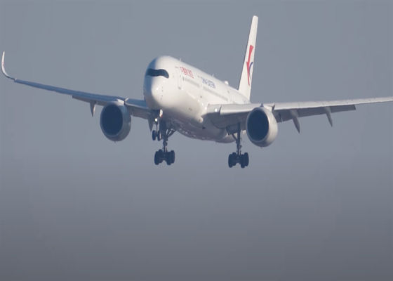 中国 広州 から デンマーク や アイルランド へ の 国際 航空 貨物 輸送